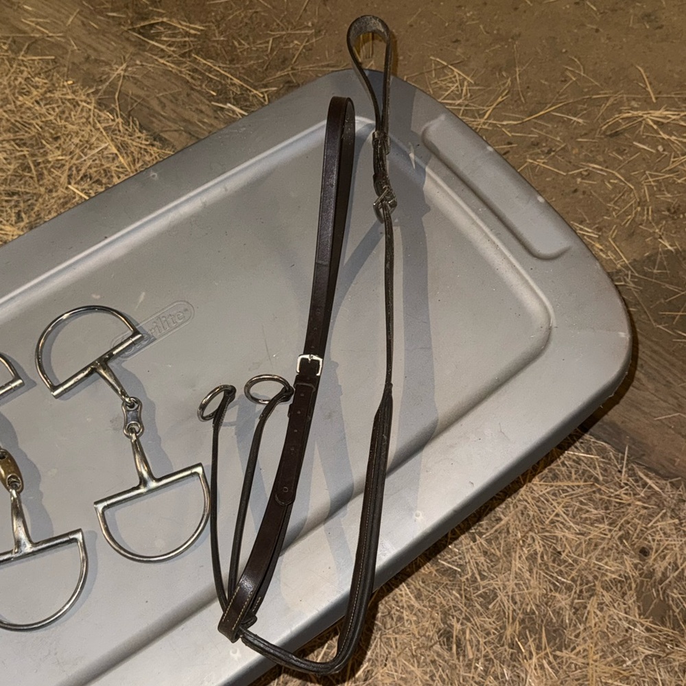 Pony Running Martingale